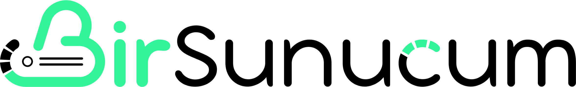 BirSunucum